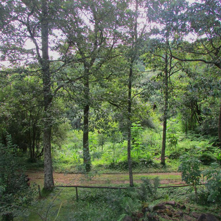 Yarrow Old Pine Cabin Karkloof מראה חיצוני תמונה