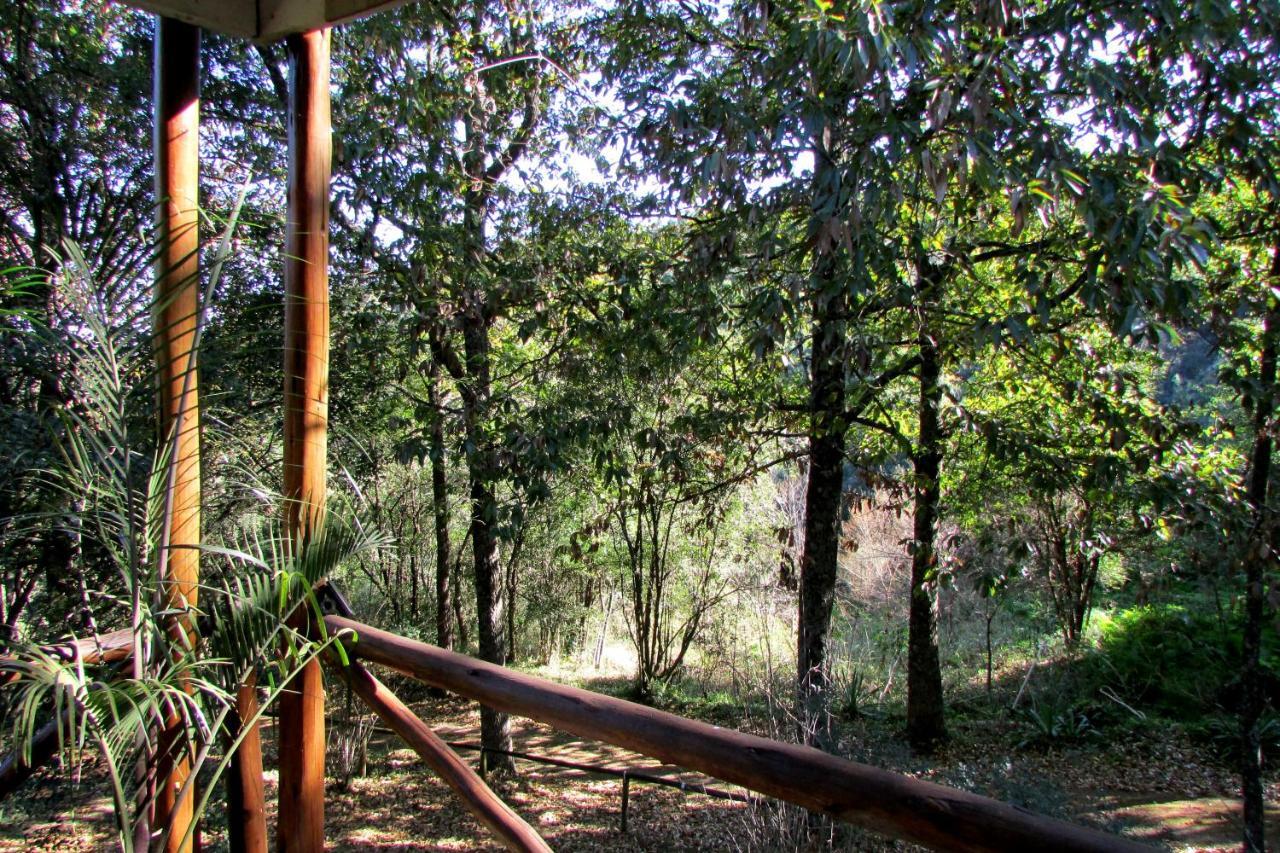 Yarrow Old Pine Cabin Karkloof מראה חיצוני תמונה